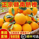 江西橙子贛南臍橙贛州臍橙手剝橙新鮮水果凈重禮盒CC 凈重1.8斤-2斤小果【單果80g+】