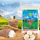天山 新疆面粉臻品雪花粉 家用包子饅頭拉條子中筋通用小麥粉 10斤