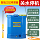 依能 智能高壓三缸泵手提式電動(dòng)噴霧器大功率農用果樹(shù)打藥機消毒鋰電 智能三缸配35AH鋰電標配