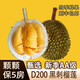 松筱馬來(lái)西亞貓山王榴蓮D197冷凍液氮新鮮水果順豐快遞禮盒裝 黑 刺榴蓮D200 4.1-4.6斤4-5房 【人工精選+包熟包甜包房】