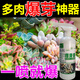 多肉營(yíng)養液爆芽素優(yōu)芽素專(zhuān)用肥料促多芽增色生根防病害葉面噴施肥 1瓶裝【500ml】