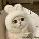 得酷貓咪可愛(ài)搞怪變裝帽寵物帽子狗狗泰迪柴犬漢堡頭套卡通動(dòng)物頭飾 絨絨小兔兔（推薦3~15斤）