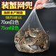 斌敘螃蟹網(wǎng)兜水產(chǎn)網(wǎng)袋批發(fā)包裝大閘蟹的塑料編織尼龍小網(wǎng)眼格袋子 綠色 單獨網(wǎng)袋 60cm加厚網(wǎng)袋100個(gè)