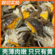 【活蟹】大閘蟹  滿(mǎn)黃全公母混搭六月黃 精品小螃蟹鮮活 鮮活一元蟹【25只+送5只】 六月黃公蟹為主 適合香辣蟹