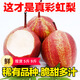驕瑰 現(xiàn)貨陜西彩虹梨新鮮水果早酥紅梨子脆甜紅皮梨整箱 【嚴選裝】大果 5斤