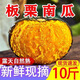卉雙新鮮板栗南瓜10斤粉面南瓜沙漠軟糯香甜老南瓜板栗味小南瓜蔬菜整 板栗南瓜 帶箱9-10斤