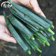壽禾秋葵種子水果家庭秋冬季四季種菜壽光蔬菜菜種籽菜籽 卡里巴黃秋葵種子10g