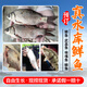 密農(nóng)人家2025密云水庫鮮魚  新鮮密云水庫魚 開河魚 鱖魚 武昌魚 每日現(xiàn)撈 鯽魚2斤