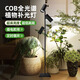 邁睿星全光譜 led植物生長(zhǎng)燈仿太陽光多肉花卉盆景室內(nèi)植物補(bǔ)光植物燈 90W落地長(zhǎng)筒2.1米（定時(shí)線控） 全光譜6000k正白光