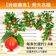 清雅仿真水果蔬菜藤條綠植假花藤蔓纏繞空調(diào)下水管道遮擋裝飾植物綠葉 【升級藤條】帶大石榴