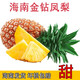周小貝海南鳳梨三亞新鮮水果金鉆鳳梨17號牛奶金菠蘿無眼 5斤 5斤裝