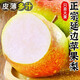 宋玉今蘋果梨當(dāng)季新鮮水果禮盒大果皮薄多汁延邊龍井特產(chǎn)水果梨現(xiàn)摘現(xiàn)發(fā) 蘋果梨大果12果8斤左右*1盒