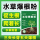A30KY水草肥料生根長葉寶蝦蟹長根粒粒肥旺葉定固根水產(chǎn)小龍蝦河蟹養(yǎng)殖 【1袋裝】水草生根粉500克/袋（大包裝）