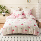 皇冠A(yíng)類(lèi)床上用品三四件套磨毛糯糯紗泡泡紗簡(jiǎn)約風(fēng)床單被套枕套TK-MM1 【泡泡紗四件套】櫻桃230*200