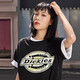 dickies【經典款】短袖  男女同款LOGO印花短袖t恤  休閑短袖 黑色 M