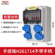 德力西電氣工業(yè)插座箱 戶(hù)外防水配電箱帶插座 手提便攜式工地檢修電源箱臨時(shí) 套餐一