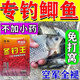 冬釣鯽魚(yú)餌料野釣黑坑通殺超誘紅蟲(chóng)粉膿腥冬釣王秋冬季主攻鯽魚(yú)餌 一袋裝【升級款】