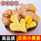 言片光2024年現(xiàn)挖云南小黃姜生黃姜沙姜月子姜羅平新鮮蔬菜火鍋食材 3斤 精選裝