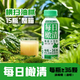 橄清每日橄清云南HOHO滇橄欖余甘子油甘果汁飲料 濃郁型-每日橄清245ml/瓶 15瓶整箱