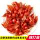 東北紅姑娘果 苦姑娘皮燈籠草掛金燈錦燈籠 紅菇娘 500g