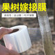 君吻嫁接膜專用膜PE無需打結(jié)薄膜自粘式園林果樹嫁接膠帶包扎帶纏繞膜 長200米寬10厘米1卷