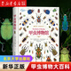 自然博物館叢書 博物文庫 北京大學(xué)出版社 甲蟲博物館