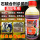 石硫合劑殺菌劑果樹(shù)清園涂白劑白粉病蚜蟲(chóng)紅蜘蛛蚧殼蟲(chóng)殺螨劑農藥 清園專(zhuān)用【1瓶】