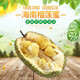 四叔公果蔬（現(xiàn)摘 順豐）海南新鮮榴蓮蜜 新鮮熱帶水果帶殼榴蓮密 凈重4.5斤（1-2個(gè)）