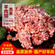 密農(nóng)人家新鮮羊肉餡 國產(chǎn)羊肉高原放養(yǎng)羔羊羊肉 急凍鎖鮮肥加瘦肉餡 500g
