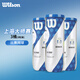 Wilson威爾勝網(wǎng)球上海大師賽官方用球?qū)I(yè)比賽用球初學(xué)訓(xùn)練球 上海大師賽3筒【9粒裝】