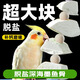 YEE墨魚骨玄鳳虎皮牡丹鸚鵡補鈣磨牙用品用具鳥飼料零食吊串啃咬玩具 【中號】5塊墨魚骨