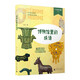 少年輕科普 博物館里的成語(yǔ) 聽(tīng)文物講故事 和博物館交朋友 7-12歲跨學(xué)科課外閱讀1-6年級寫(xiě)作 