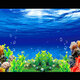 魚缸背景紙高清立體壁紙水族箱壁畫造景裝飾3D海底貼紙靜電自粘 海洋氣泡 100x0x70cm