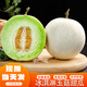鯨咚億農山東玉菇甜瓜冰淇淋蜜甜瓜新鮮水果當季時(shí)令小香瓜整箱年貨禮盒 5斤冰淇淋玉菇甜瓜