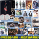 正版自選  簽章版 小蘑菇 典藏版/普通版 實體書小說全2冊 一十四洲 晉江文學城雙男主純愛原耽科幻小說 兩周年燙金刷邊特裝書 典藏版 小蘑菇 /定制贈品