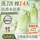 維特絲（vetes）控油蓬松洗發(fā)水男女士去屑止癢持久留香洗頭膏金榜第1一名洗發(fā)露 【控油蓬松】508ml1瓶雪落梔子花