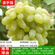 綠達巨峰葡萄樹(shù)苗陽(yáng)光玫瑰盆栽南方北方耐寒葡萄苗果樹(shù)苗庭院種植爬藤 【金手指】10年結果爆滿(mǎn)