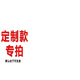 雷若儀表風(fēng)機管道風(fēng)速儀風(fēng)壓測量儀風(fēng)量儀風(fēng)溫測試儀流量流速皮托管智能 選配：L型管30厘米