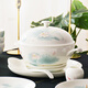 華光陶瓷碗套裝 抗菌骨瓷餐具 釉中彩碗碟套裝家用中式 春江水暖 春江水暖 30頭 【抗菌瓷】禮盒裝