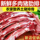 【順豐】5斤排骨新鮮豬排骨多肉農(nóng)家散養(yǎng)豬前排肋排土豬整箱批發(fā) 排骨5斤【肉多骨頭少】