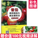 農(nóng)業(yè)書籍番茄高效栽培與病蟲害防治彩色圖譜高效西紅柿栽培病蟲害防治種植技術(shù)大全書農(nóng)藥知識農(nóng)