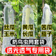 yuanyiba水果套袋防鳥(niǎo)防蟲(chóng)專(zhuān)用網(wǎng)袋葡萄無(wú)花果蘋(píng)果芒果梨子桃子保護袋子 12x40cm/30個(gè)/黃瓜苦瓜絲瓜