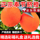 玫梔奉節(jié)甜臍橙 正宗重慶新鮮倫晚甜橙子口感勝過紐荷爾禮盒裝 80mm(含)-85mm（不含） 20斤（彩箱禮盒裝）