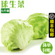 良知農(nóng)哥 【順豐可選】球生菜新鮮圓生菜西生菜西餐沙拉蔬菜 2斤 順豐
