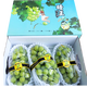 桃李村日本品種晴王香印無籽青提 陽光玫瑰葡萄禮盒 翠玉提子 1kg