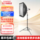 若銳若銳350W/X攝影燈LED常亮燈主播用美顏嫩膚拍攝直播間拍照球型攝影補光燈雙色溫補光燈 350X單燈【60X90柔光箱+格柵套裝】 官方標配