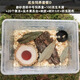 鍬甲獨角仙兜蟲(chóng)金龜透明飼養盒爬蟲(chóng)盒寵物昆蟲(chóng)活體透氣甲蟲(chóng)飼養箱 飼養套餐D