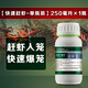 A30KY趕蝦寶捕蝦王捕龍蝦專(zhuān)用青蝦進(jìn)籠誘餌快速補撈河道用捉蝦靈逮蝦王 【快速趕蝦】趕蝦寶250毫升*1瓶-可用10畝