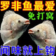 祥釣翁羅非魚餌料野釣通殺秋冬季黑坑專用神器不開口的顆粒窩料餌料通殺 買2送1【98％釣友選擇】無效全退