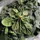 霜打菠菜趴地矮腳當季蔬菜河南趴地菠菜新鮮菠菜 霜打菠菜5斤 露天趴地菠菜現挖現發(fā)